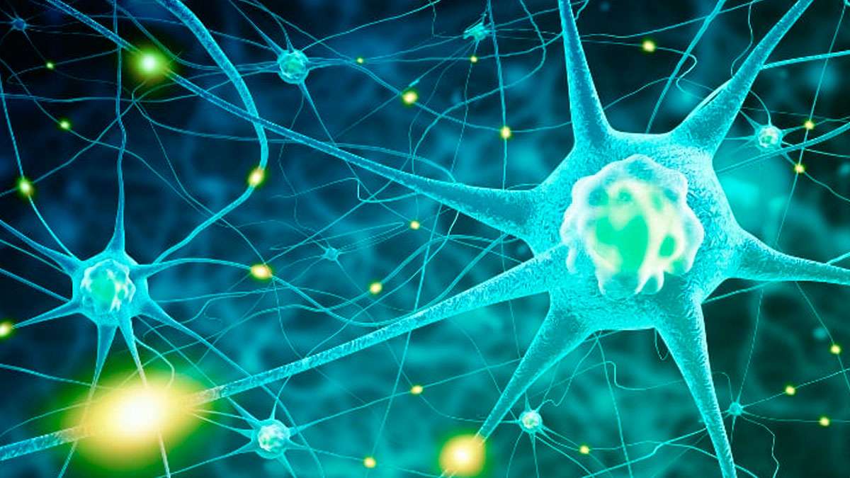 Equilibrio de Peso y Corrección Hormonal con Imanes