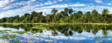 Clase Tratamiento Dengue con Imanes y complementos